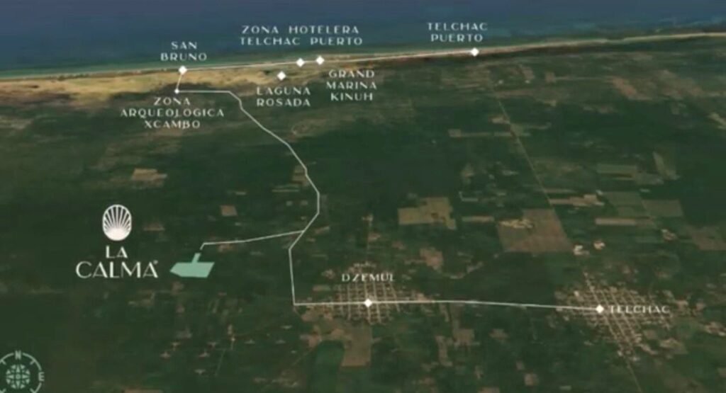 WhatsApp-Image-2026-03-11-at-8.48.09-PM