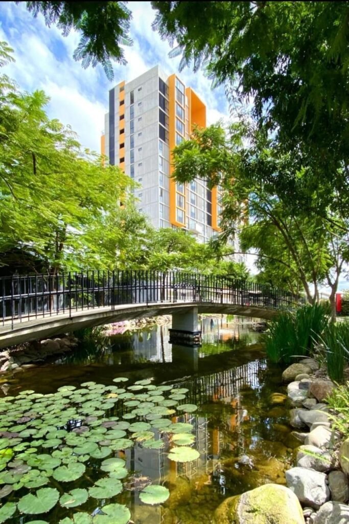 WhatsApp-Image-2026-03-25-at-10.01.48-PM-1