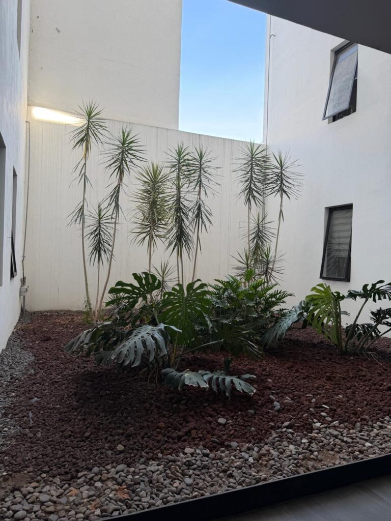 WhatsApp-Image-2026-04-15-at-5.30.08-PM-1